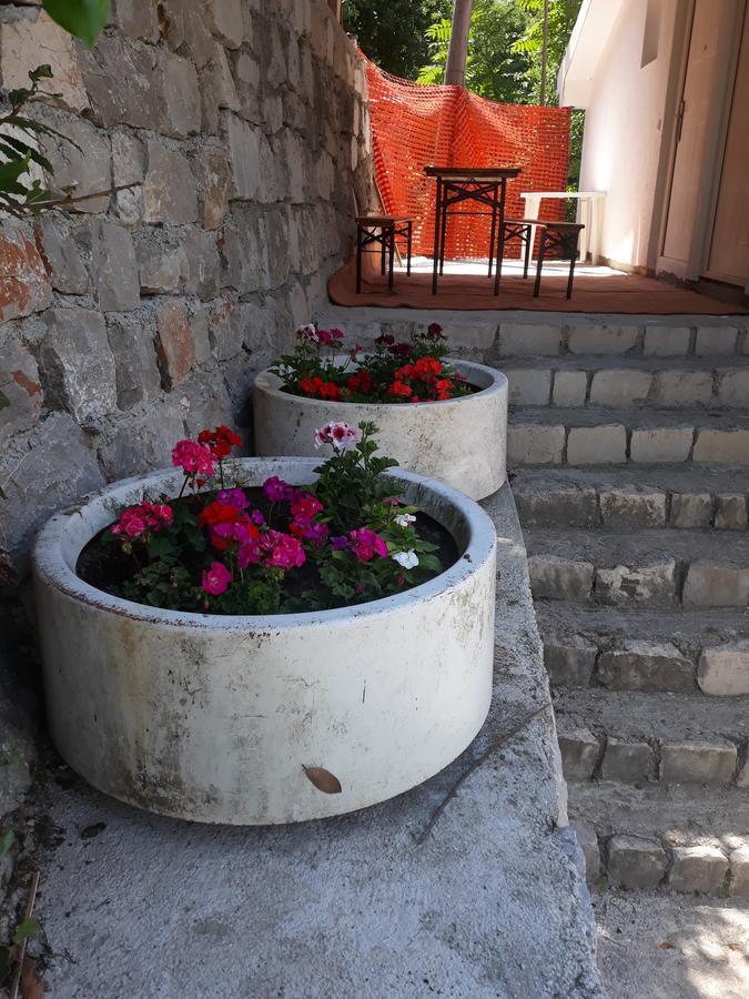 Apartmani Viza Risan Exterior photo